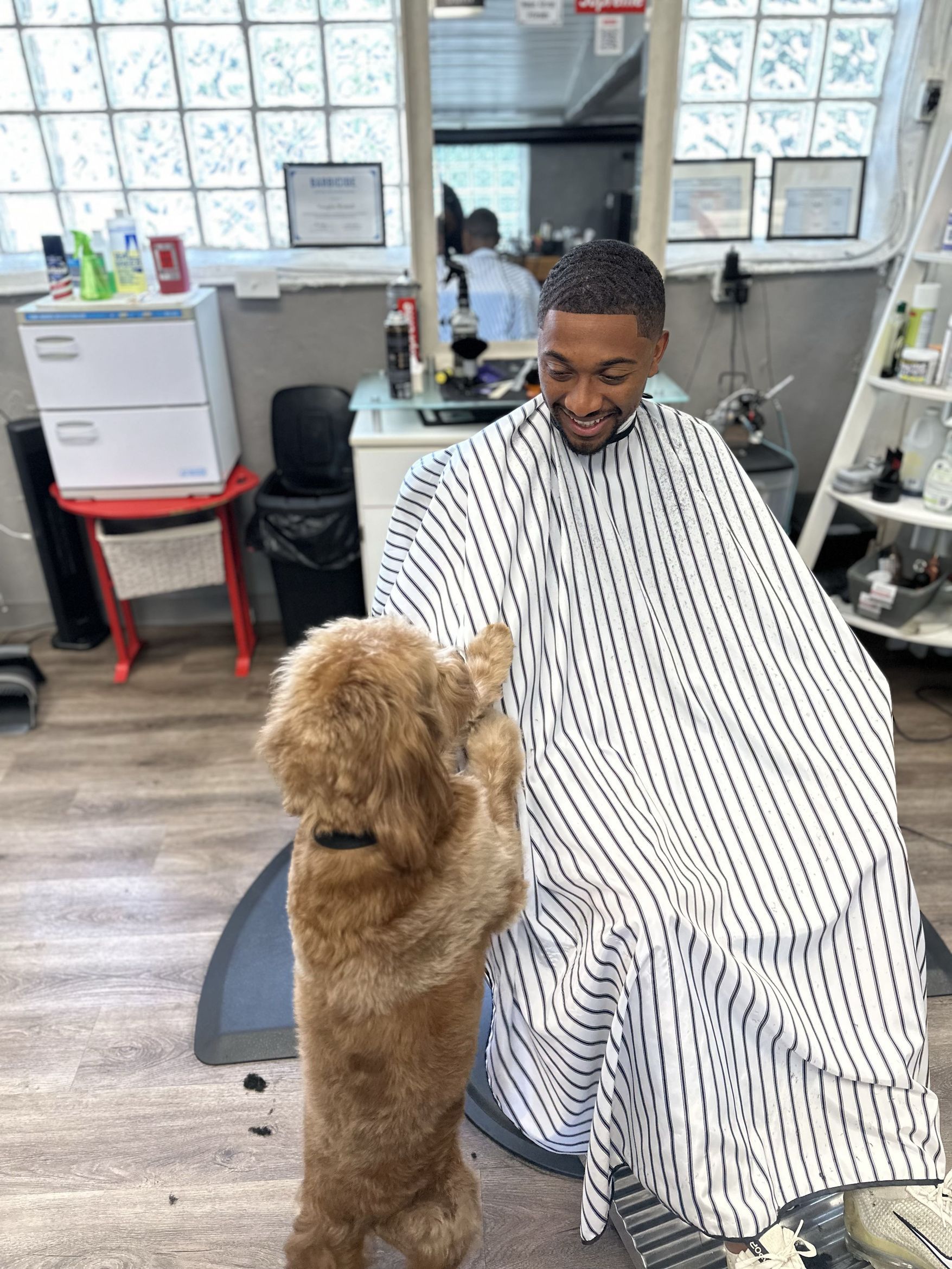 Haircut gallery photo 3